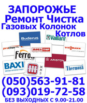 Ремонт Газового котла,  двухконтурного, турбированного,  Газовой колонки